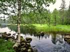 Finland, Kainuu, Hossa National Park. Along Karhunkierros hiking trail. Art Print